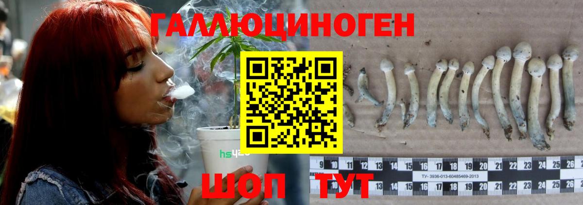 Псилоцибиновые грибы GOLDEN TEACHER  Вход с VPN  Кызыл 